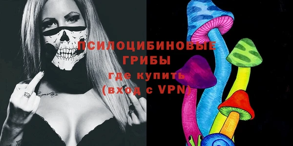 мяу мяу кристалл Гусь-Хрустальный