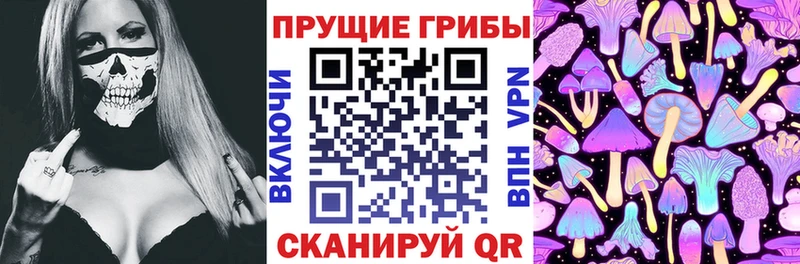 Псилоцибиновые грибы Magic Shrooms  хочу наркоту  Сковородино 